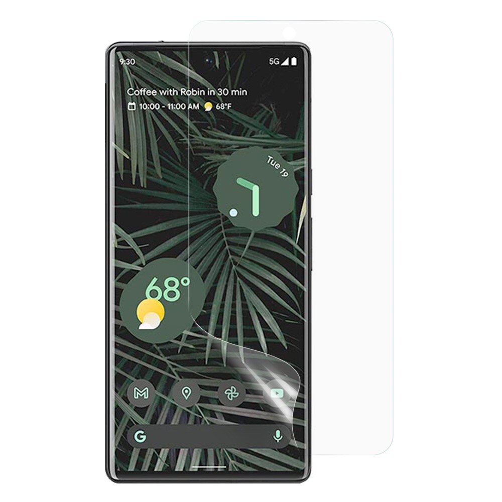 Google Pixel 6 Pro Screen Protector