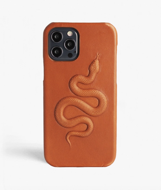 iPhone 12/iPhone 12 Pro Case Snake Brown