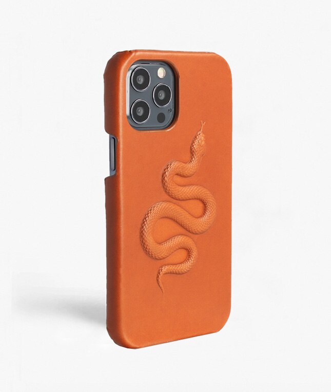 iPhone 12/iPhone 12 Pro Case Snake Brown