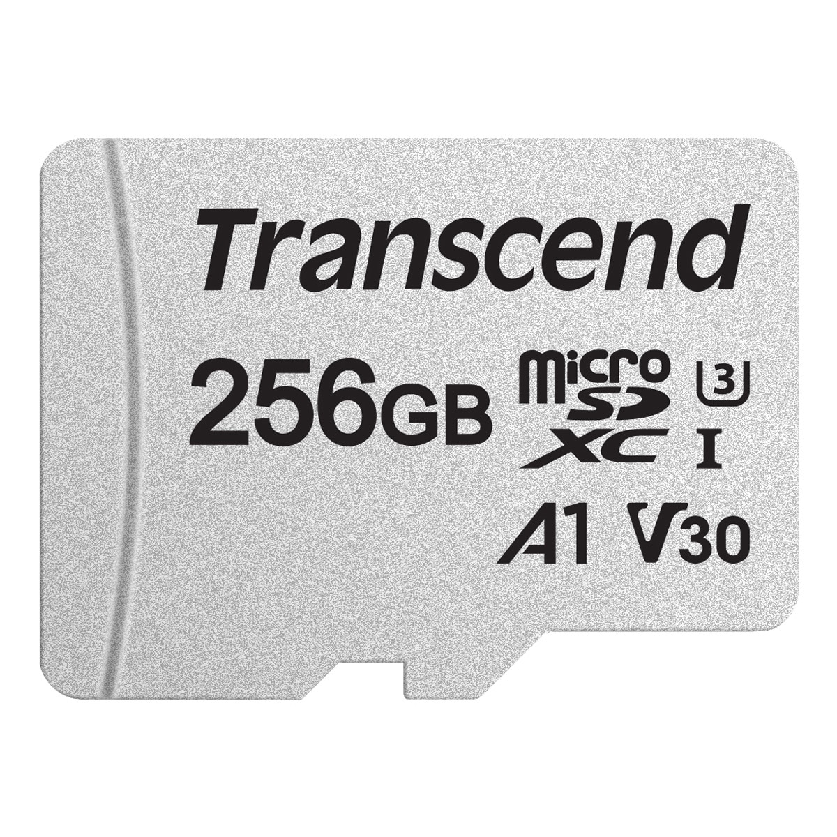 microSDXC 256GB U3 (R95/W40) - Memory Card