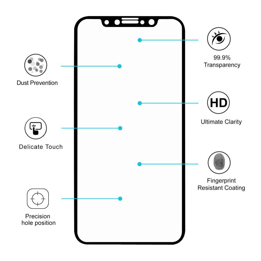 iPhone X/XS Full Glue Tempered Glass Black