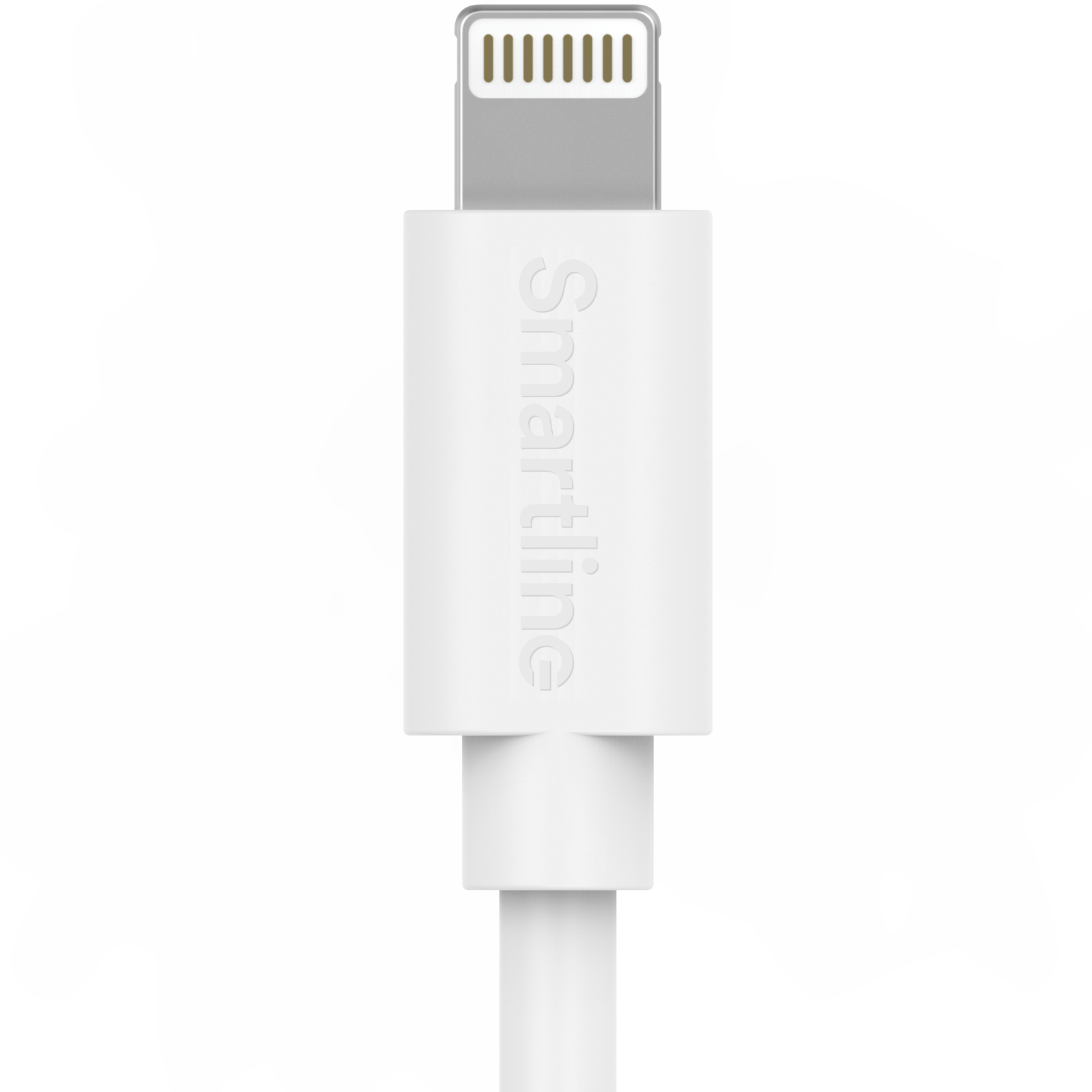 Long USB-C to Lightning Cable 2 meters iPad Mini 3 7.9 (2014) White